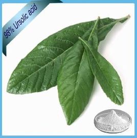 중국 백색 분말 비파나무 잎 추출물 25%-98% Ursolic 산성 좋은 에타놀 가용성 협력 업체