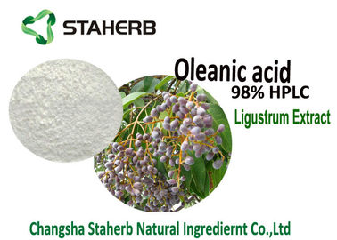 중국 100% 유기 순수한 자연적인 식물은 오레 아nic 산 98% HPLC 광택 있는 Privet 과일/Ligustrum Lucidum 추출물을 추출합니다 협력 업체