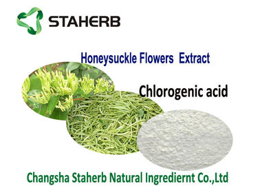 중국 80%HPLC 순수한 클로로겐 산성 자연적인 식물 추출물 CAS 327 97의 9개의 건강 제품 협력 업체