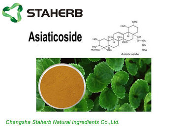 중국 화장품을 위한 밝은 밤색 분말 Gotu 콜라 추출물 Asiaticoside10%/40%/90% 협력 업체
