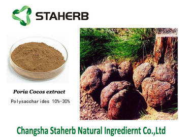 중국 브라운 분말 Poria 코코야자 추출물 반대로 표준 기준물 - 폐암 협력 업체