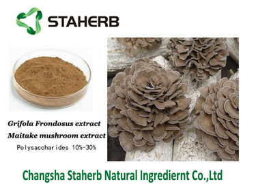 중국 항균 식물 추출물 Maitake 버섯 추출물 30% 다당류 협력 업체