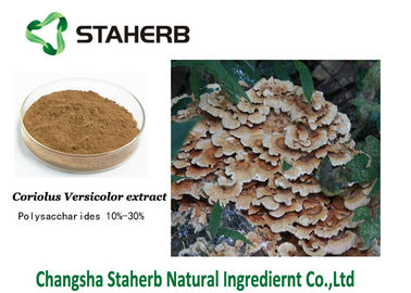 중국 Krestin PSK 항균 식물 추출물, Coriolus - versicolor 버섯 추출물 다당류 협력 업체