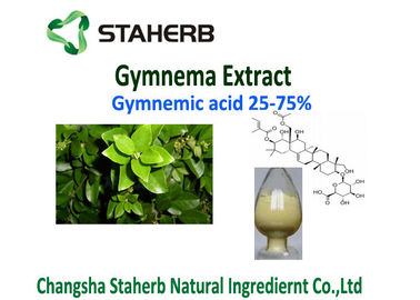 중국 무게 지는 Gymnema Sylvestre 잎 추출물 분말 25% Gymnemic 산 협력 업체