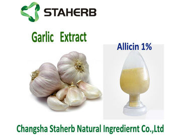 중국 자연적인 가금류는 살균 성분 마늘 Allicin 분말 Allicin 1%를 먹입니다 협력 업체