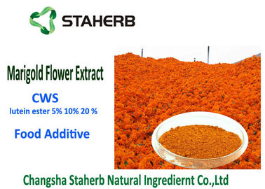 중국 루테인 에스테르 5% 자연적인 식품 첨가물, 금잔화 꽃 추출물 물 Souble 협력 업체