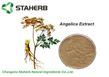 중국 자연적인 식물 안젤리카 뿌리 추출물 분말 빛 갈색 황색 1% 정당한 HPLC 협력 업체