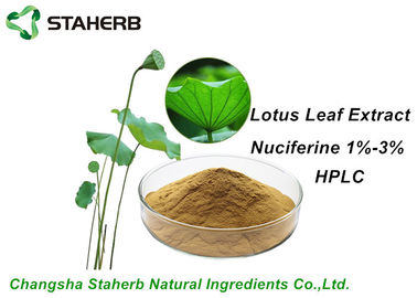 중국 원료 성분 로터스 잎 추출물 Nuciferine1%-3% HPLC를 잃는 무게 협력 업체