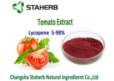 중국 진한 빨강색 분말 자연적인 토마토 추출물 5%-98% 리코펜 수용성 노화 방지 협력 업체