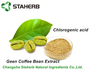 중국 HPLC에 의하여 순수한 자연적인 녹색 커피 콩 Chlorogenic 산성 추출물 50% 협력 업체