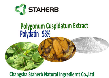 중국 추출물 싱아 Cuspidatum 뿌리 Polydatin 순수한 자연적인 분말 98%의 50% HPLC 65914-17-2 협력 업체