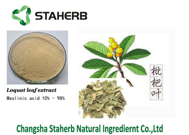 중국 Maslinic 산성 비파나무 잎 추출물 순수한 자연적인 식물 추출물 4373-41-5 협력 업체