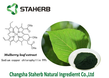 중국 Chlorophyllin 항균 식물 추출물 뽕나무 잎 추출물 나트륨 구리 chlorophyllin 협력 업체