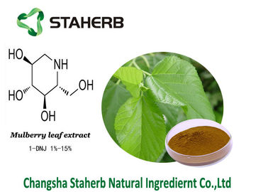 중국 1-Deoxynojirimycin 항균 식물은 뽕나무 잎 추출물을 추출합니다 협력 업체