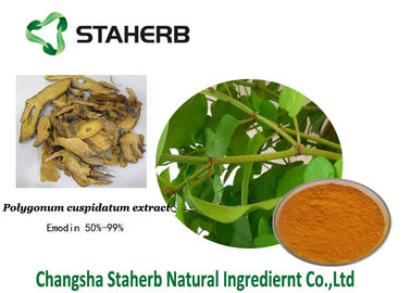 중국 Emodin 항균 식물 추출물 싱아 cuspidatum 추출물 518-82-1 협력 업체