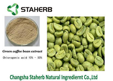 중국 Chlorogenic 산은, 지는 녹색 커피 콩 추출물 CAS를 327-97-9 무겁게 합니다 협력 업체