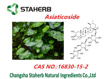 중국 Centella Asiatica 추출물/순수한 자연적인 식물은 Asiaticosides 분말을 추출합니다 협력 업체