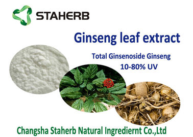 중국 20% 80% ginsenoside 산화를 억제하는 규정식 보충교재 물자, 유기 인삼 잎 추출물 협력 업체