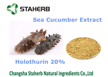 중국 화장품을 위한 해삼 추출물 자연적인 화장용 성분 Holothurin 20% 협력 업체