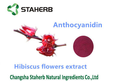 중국 목부용속의 식물 꽃 추출물 자연적인 화장용 성분 안토시아닌 10% 분말 협력 업체