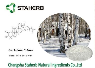 중국 Pharma 원료 벌치나무 껍질 분말 Betulin 산성 유효 성분 협력 업체