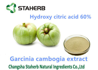 중국 Garcinia Cambogia 추출물 체중 감소 분말 Hydroxycitric 산 60% 분말 협력 업체