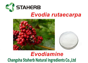 중국 Evodia Rutaecarpa 추출물 유기 식물은 약제를 위한 Evodiamine 분말을 추출합니다 협력 업체