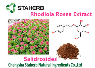 중국 건강 Rhodiola 여성 Rosea 추출물 순수한 자연적인 식물은 Salidrosides 3%를 추출합니다 협력 업체