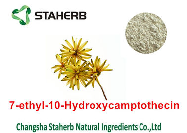 중국 CAS 86639-52-3 순수한 자연적인 식물은 7 - 에틸 - 10를 - Hydroxycamptothecin 분말 추출하지 않습니다 협력 업체