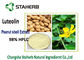 땅콩 피부 항균 식물은 루테올린 분말 Aluteolin 98% HPLC를 추출합니다 협력 업체