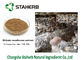 Lentinan 항균 식물 추출물, 집중된 표고 버섯 추출물 협력 업체