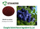 유기 월귤나무속 들쭉 추출물 분말 자주색 색깔 안토시아니딘 5%-30% 협력 업체
