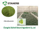 클로렐라 단백질 식물성 추출물 분말 녹색 조류 분말 협력 업체