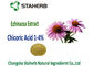 Echinacea Purpurea 추출물 Chicoric 자연적인 산, 폴리페놀, Echinacea 추출물 협력 업체