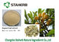 Maslinic 산성 비파나무 잎 추출물 순수한 자연적인 식물 추출물 4373-41-5 협력 업체
