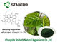 Chlorophyllin 항균 식물 추출물 뽕나무 잎 추출물 나트륨 구리 chlorophyllin 협력 업체