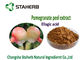 석류 껍질에 의하여 집중되는 식물 추출물 반대로 돌연 변이 유도물과 반대로 암 재산 협력 업체