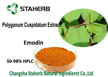 중국 98% Emodin 분말 순수한 자연적인 식물 추출물, 싱아 쿠스삐다타무 뿌리 추출물 협력 업체