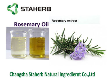 중국 로즈메리 잎 추출물, 로즈메리 근본적인 석유-식량 및 cosmetics.100% 자연적인 나물 추출물 협력 업체