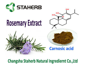 중국 자연적인 로즈메리 잎 추출물 산화 방지제 Carnosic 산 5-90% 좋은 기름 Souble 식품 첨가물 협력 업체