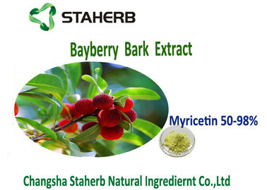 중국 항산화 베이베리 나무 수피 분말 추출물 황록색 색깔 Myricetin 50%-98% 협력 업체