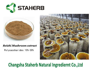 중국 Ganoderma Lucidum Reishi 버섯 추출물 브라운 분말 Triterpene 1%-20% 협력 업체