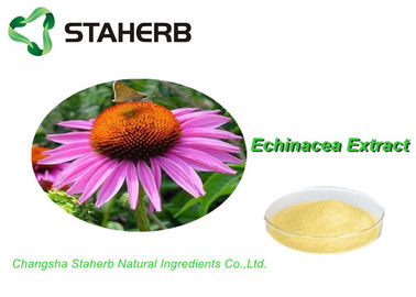 중국 100% 자연적인 표준 기준물, 나물 약 Echinacea Purpurea 추출물 Cichoric 산 2% 협력 업체