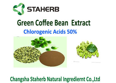 중국 유기 녹색 커피 콩 추출물 분말 50% 클로로겐 산성 통제 무게 협력 업체