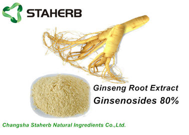 중국 성분 인삼 뿌리 추출물 Ginsenosides 자연적인 화장용 80% HPLC 협력 업체