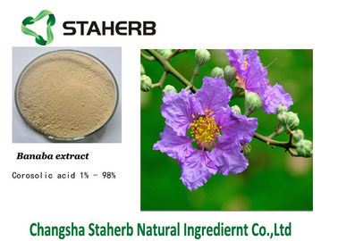 중국 Corosolic 산성 Banaba 잎 항균 식물 추출물 협력 업체