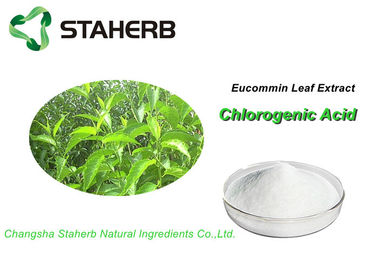 중국 식물 추출물 Eucommia 소염 순수한 자연적인 추출물 Chlorogenic 산 5%-98% 협력 업체