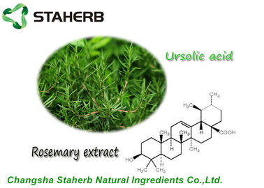 중국 Cusmetic 제품을 위한 Antioxdent 로즈메리 잎 추출물 Ursolic 산성 분말 협력 업체