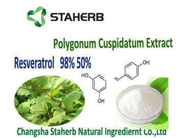 중국 싱아 Cuspidatum 뿌리 녹색 식물 추출물 협력 업체
