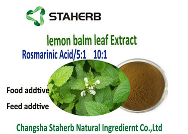 중국 레몬 향유 잎 모든 자연적인 추출물 협력 업체